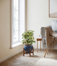 Load image into Gallery viewer, Deep Navy stand:walnut