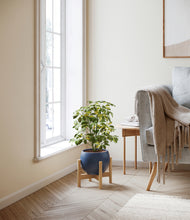 Load image into Gallery viewer, Deep Navy stand:bamboo