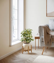 Load image into Gallery viewer, Shiny EggWhite stand:bamboo