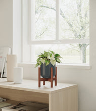 Load image into Gallery viewer, Iron Gray stand:walnut