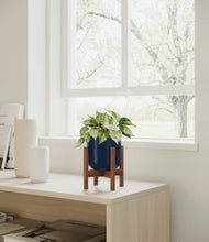 Load image into Gallery viewer, Twilight Blue stand:walnut