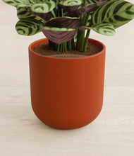 Load image into Gallery viewer, Earth Red stand:all