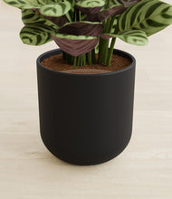 Load image into Gallery viewer, Stone Black stand:all