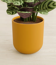 Load image into Gallery viewer, Sunset Orange stand:all