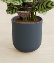 Load image into Gallery viewer, Iron Gray stand:all