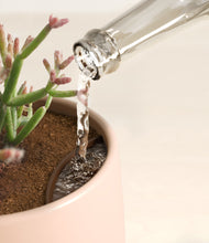 Load image into Gallery viewer, Sandy