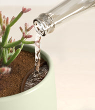 Load image into Gallery viewer, Earthy