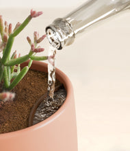 Load image into Gallery viewer, Evening Sky