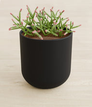 Load image into Gallery viewer, Stone Black stand:all