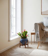 Load image into Gallery viewer, Deep Navy stand:walnut