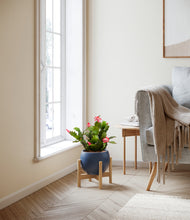 Load image into Gallery viewer, Deep Navy stand:bamboo