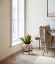 Load image into Gallery viewer, Desert Brown stand:walnut