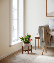 Load image into Gallery viewer, Winter Clouds stand:walnut