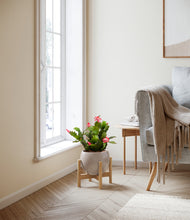 Load image into Gallery viewer, Winter Clouds stand:bamboo