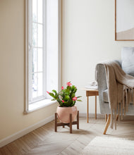 Load image into Gallery viewer, Calm Rose stand:walnut