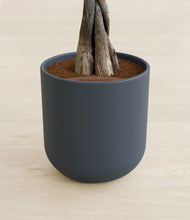 Load image into Gallery viewer, Iron Gray stand:all