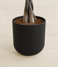 Load image into Gallery viewer, Stone Black stand:all