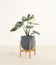 Load image into Gallery viewer, Iron Gray stand:bamboo