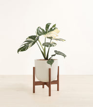Load image into Gallery viewer, Natural Bamboo stand:walnut