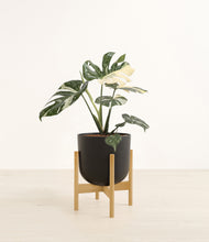 Load image into Gallery viewer, Stone Black stand:bamboo