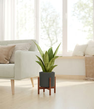 Load image into Gallery viewer, Dark Olive stand:walnut