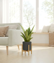 Load image into Gallery viewer, Dark Olive stand:bamboo