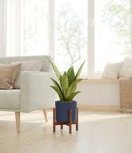 Load image into Gallery viewer, Deep Navy stand:walnut