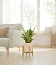 Load image into Gallery viewer, Cream stand:bamboo