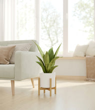 Load image into Gallery viewer, White stand:bamboo