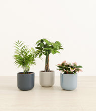 Load image into Gallery viewer, Pebble Shore*****Profile