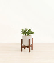 Load image into Gallery viewer, Snowdrift White stand:walnut