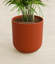 Load image into Gallery viewer, Earth Red stand:all