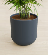 Load image into Gallery viewer, Iron Gray stand:all