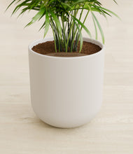Load image into Gallery viewer, Natural Bamboo stand:all