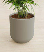 Load image into Gallery viewer, Sage Green stand:all