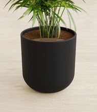 Load image into Gallery viewer, Stone Black stand:all