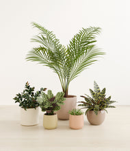 Load image into Gallery viewer, Sandy*****Profile