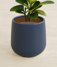 Load image into Gallery viewer, Deep Navy stand:all