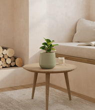 Load image into Gallery viewer, Turquoise