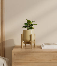 Load image into Gallery viewer, Almond Green stand:bamboo