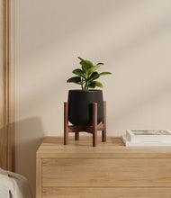 Load image into Gallery viewer, Black stand:walnut