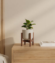 Load image into Gallery viewer, Cotton White stand:walnut