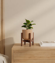 Load image into Gallery viewer, Glossy Pink stand:walnut