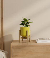 Load image into Gallery viewer, Key Lime Yellow stand:bamboo