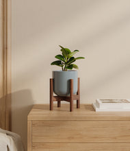 Load image into Gallery viewer, Misty Blue stand:walnut