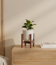 Load image into Gallery viewer, Natural Bamboo stand:walnut
