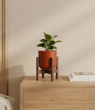 Load image into Gallery viewer, Earth Red stand:walnut