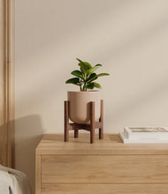 Load image into Gallery viewer, Sandy Pink stand:walnut
