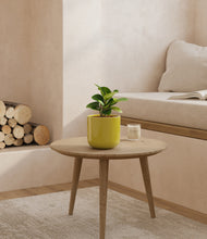 Load image into Gallery viewer, Key Lime Yellow