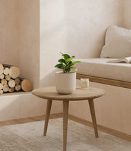 Load image into Gallery viewer, Natural Bamboo